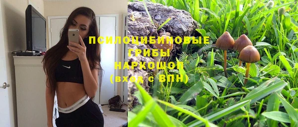 mix Козельск