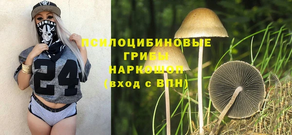 mix Козельск