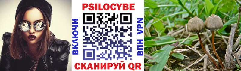 Псилоцибиновые грибы мухоморы Купить где Данилов